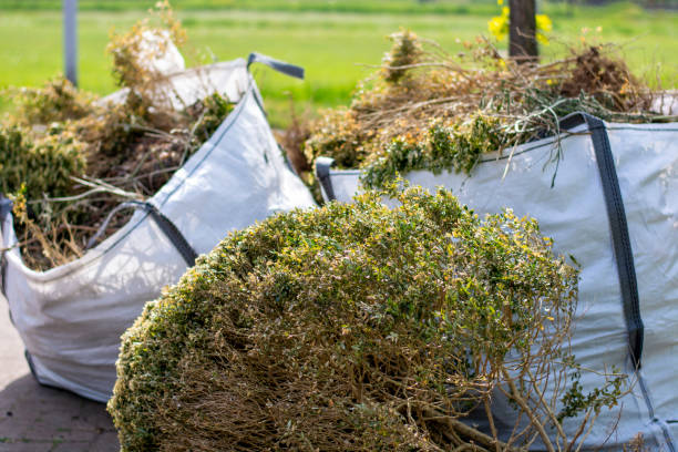 Best Yard Cleanup Services  in Yermo, CA