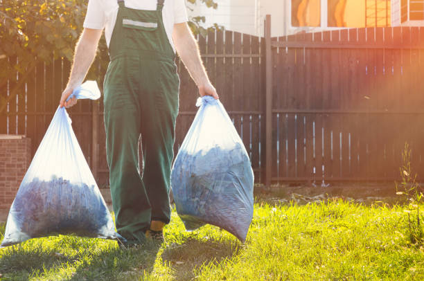Best Basement Cleanout Services  in Yermo, CA